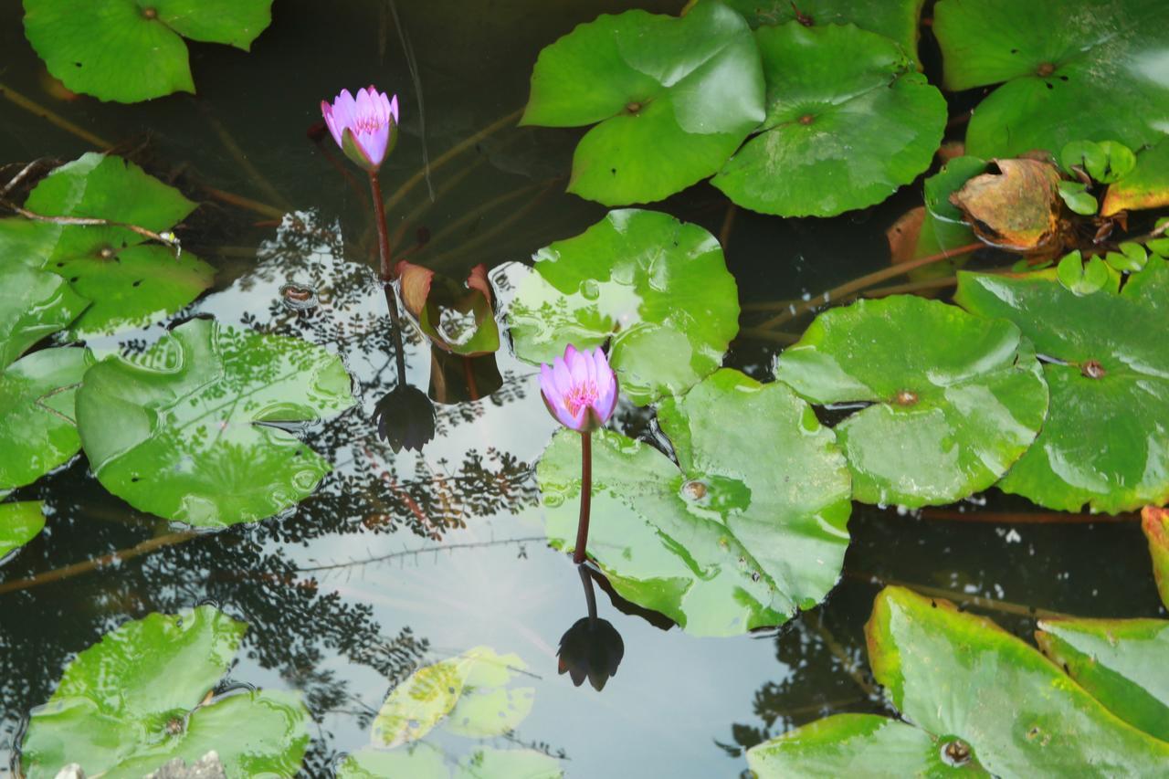 Khach San Linh Huong Hotel Son La Kültér fotó